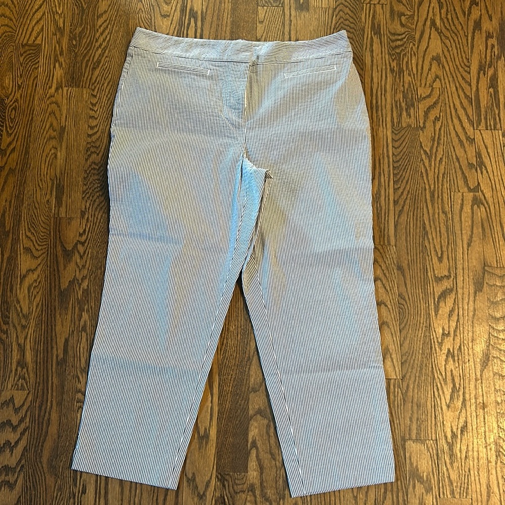 Ann Taylor cropped Pants